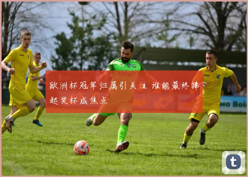 欧洲杯冠军归属引关注 谁能最终捧起奖杯成焦点
