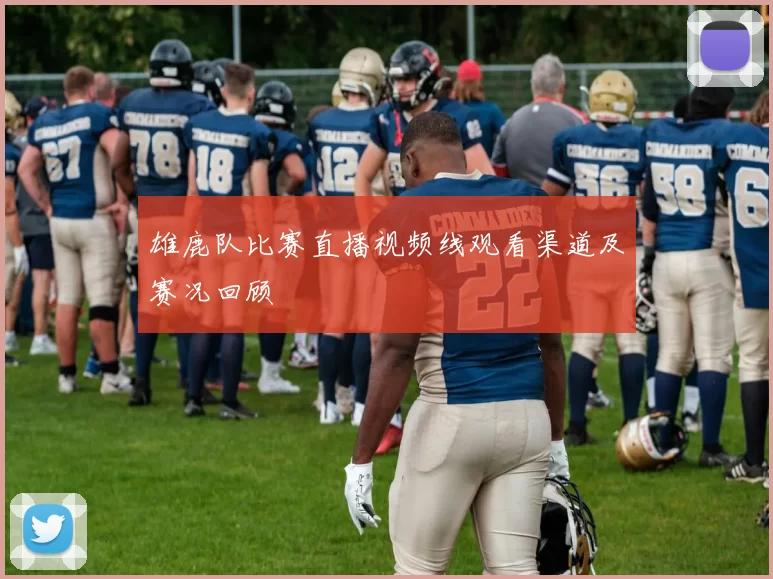 雄鹿队比赛直播视频线观看渠道及赛况回顾