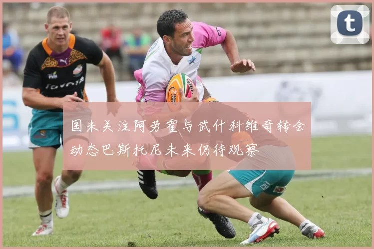 国米关注阿劳霍与武什科维奇转会动态巴斯托尼未来仍待观察