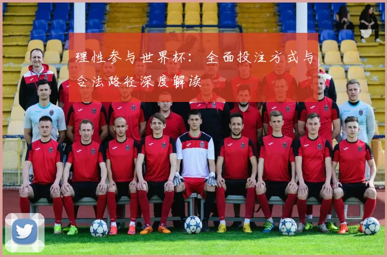 理性参与世界杯:全面投注方式与合法路径深度解读