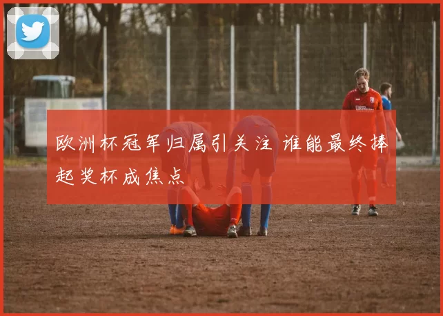 欧洲杯冠军归属引关注 谁能最终捧起奖杯成焦点