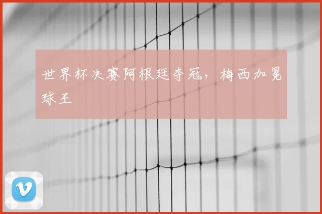 世界杯决赛阿根廷夺冠，梅西加冕球王