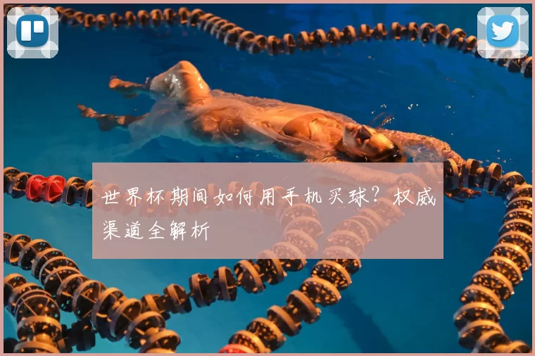 世界杯期间如何用手机买球？权威渠道全解析