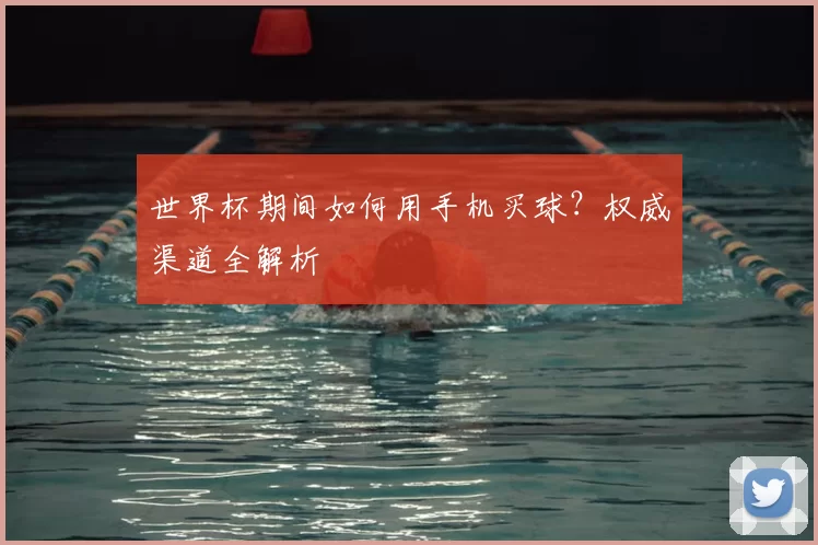世界杯期间如何用手机买球？权威渠道全解析