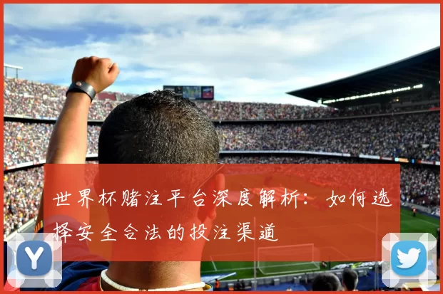 世界杯赌注平台深度解析：如何选择安全合法的投注渠道