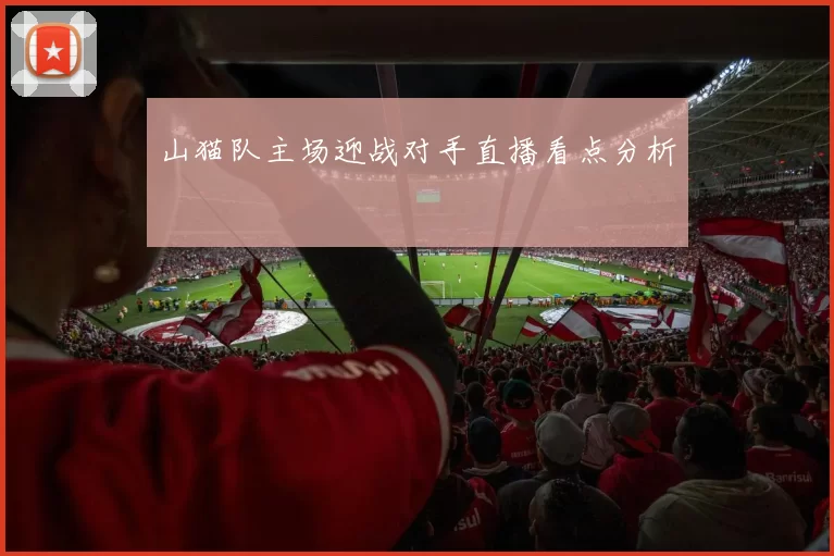 山猫队主场迎战对手直播看点分析