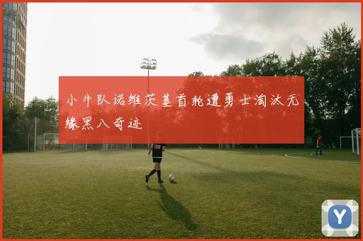 小牛队诺维茨基首轮遭勇士淘汰无缘黑八奇迹