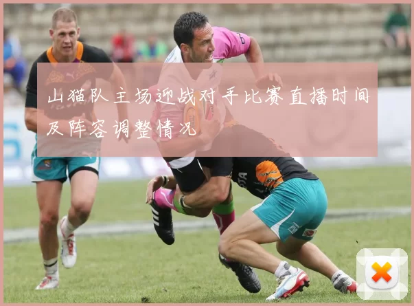 山猫队主场迎战对手比赛直播时间及阵容调整情况
