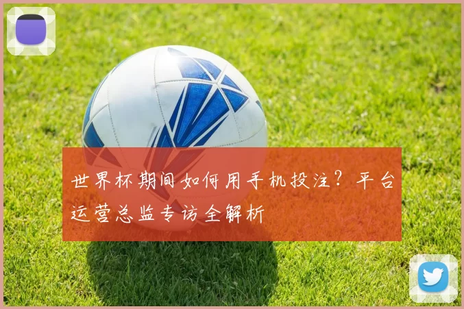 世界杯期间如何用手机投注？平台运营总监专访全解析