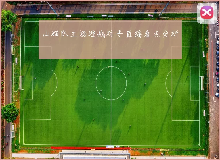 山猫队主场迎战对手直播看点分析