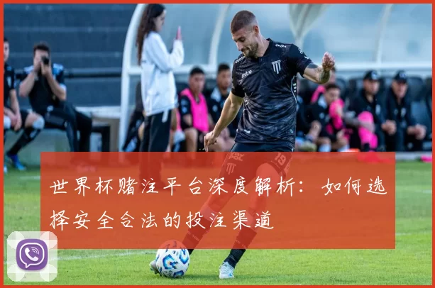 世界杯赌注平台深度解析：如何选择安全合法的投注渠道