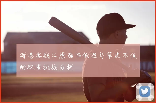海港客战江原面临低温与草皮不佳的双重挑战分析