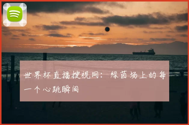 世界杯直播搜视网:绿茵场上的每一个心跳瞬间