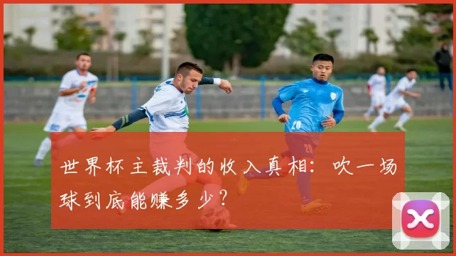 世界杯主裁判的收入真相：吹一场球到底能赚多少？